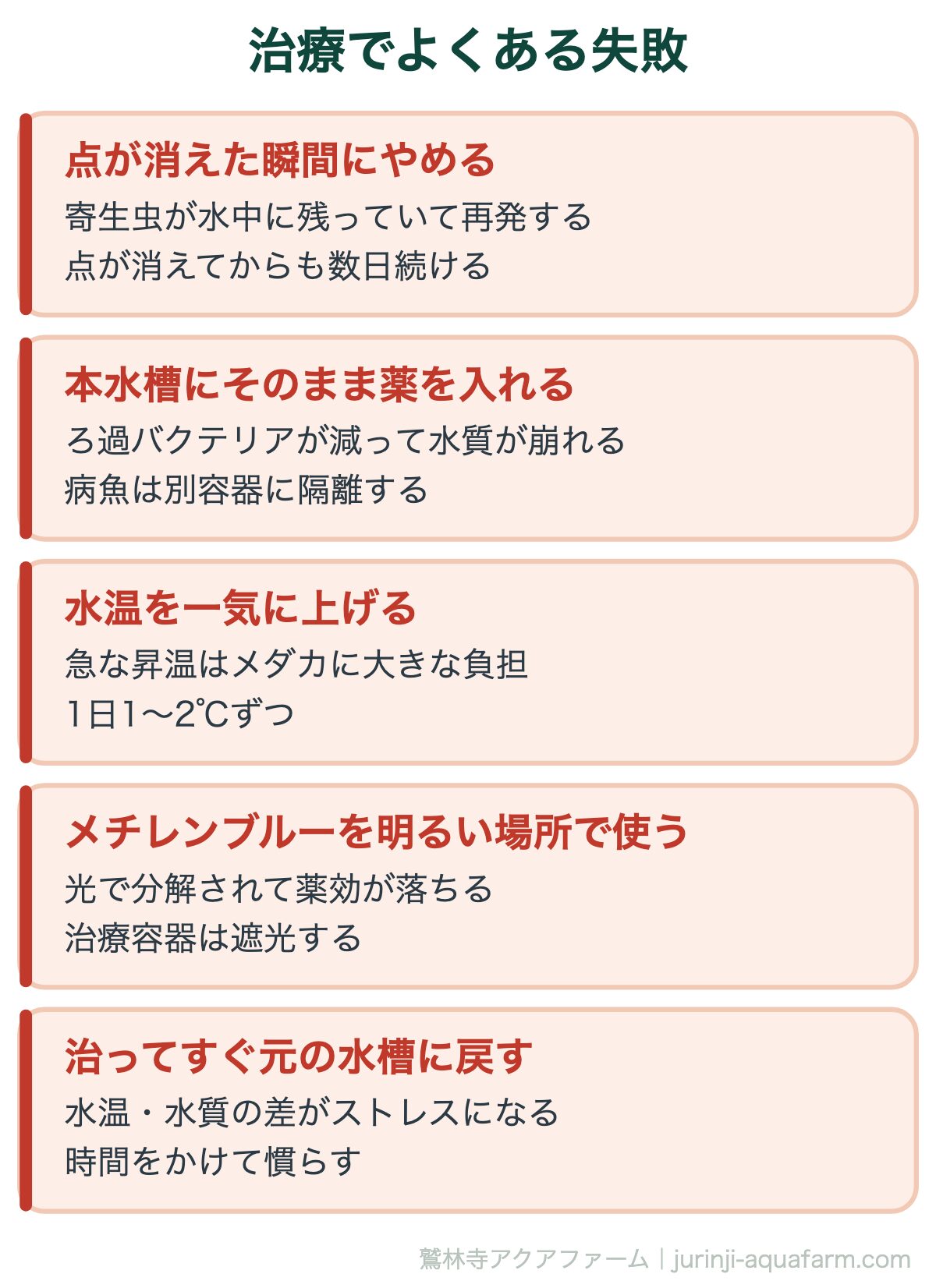 治療でよくある失敗。メダカの白点病とラメの違い