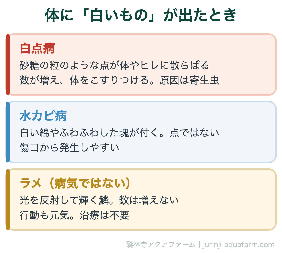 体に「白いもの」が出たとき。メダカの白点病とラメの違い