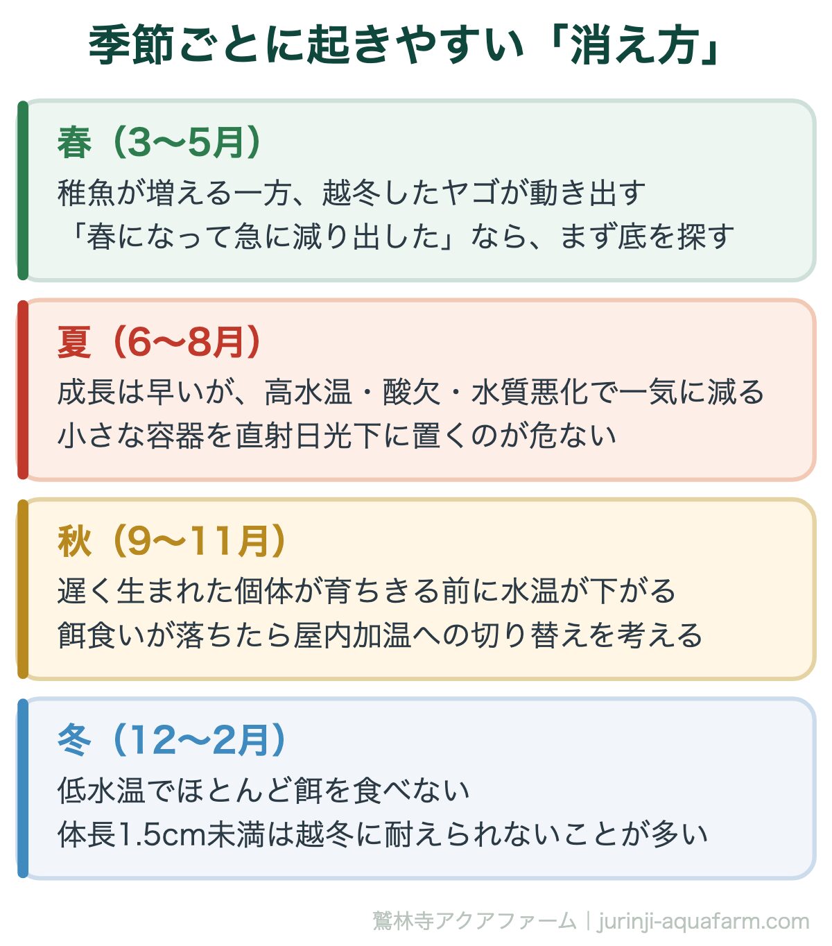 メダカの稚魚が「消える・溶ける」のは何故|季節ごとに起きやすい「消え方」。時期から当たりをつけるのも、原因を絞るのに使える