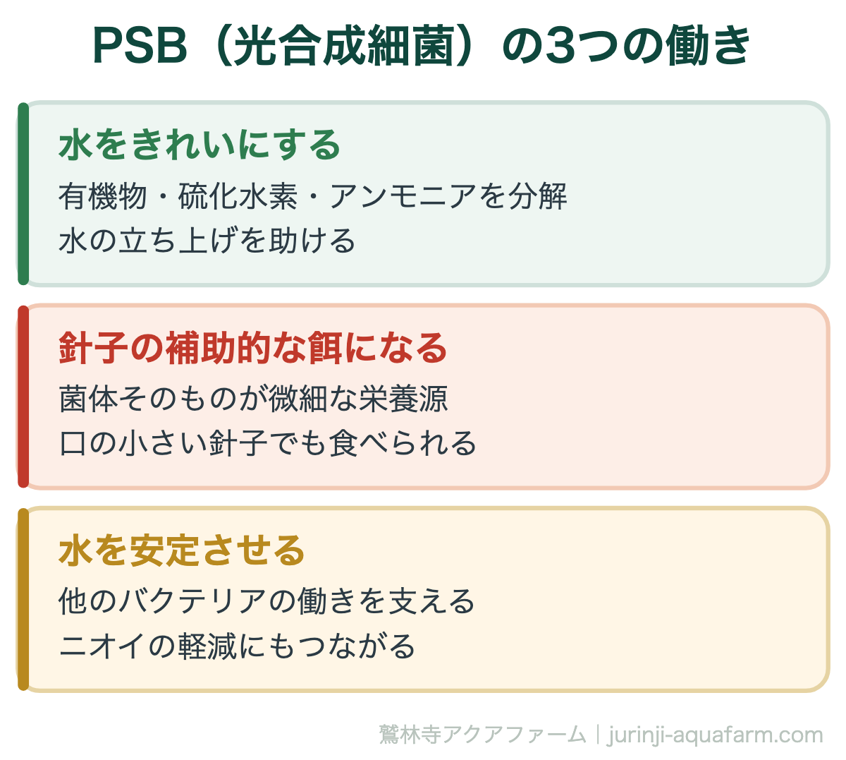 メダカの針子はPSBだけで育つ｜PSB（光合成細菌）の3つの働き。PSBは「餌」であると同時に「水質改善剤」でもあります。ただし主食にはなりません。ここが判断のポイントです