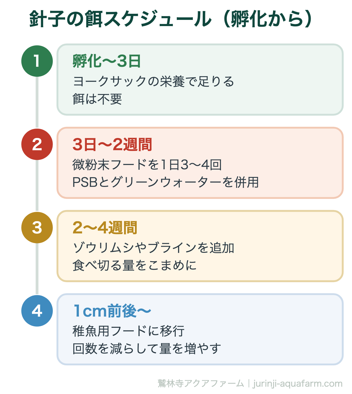メダカの針子はPSBだけで育つ｜針子の餌スケジュール（孵化から）。針子の餓死は「量」ではなく「回数」の不足で起きます。少量をこまめに——これが生存率を決めます