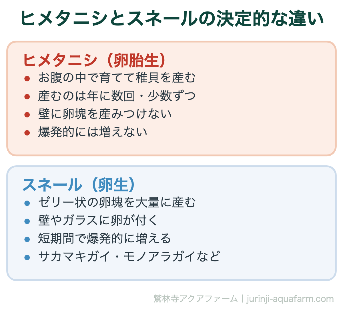 ヒメタニシとスネールの決定的な違い。「爆殖している」と感じたら、まずスネールとの取り違えを疑ってください。壁にゼリー状の卵塊があればヒメタニシではありません