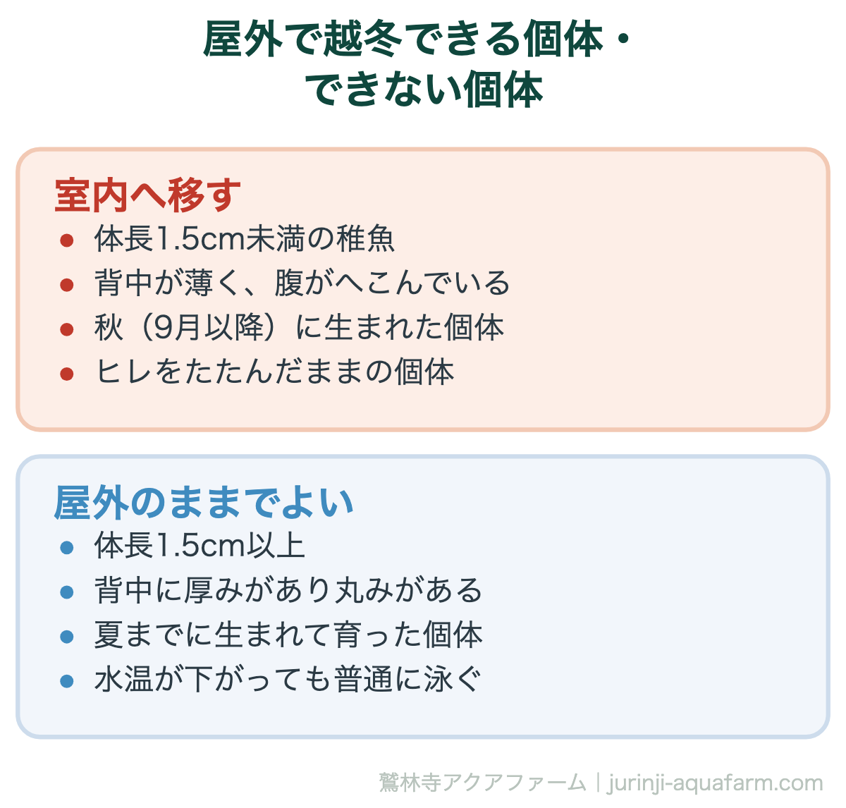 メダカの冬越し｜屋外で越冬できる個体・できない個体