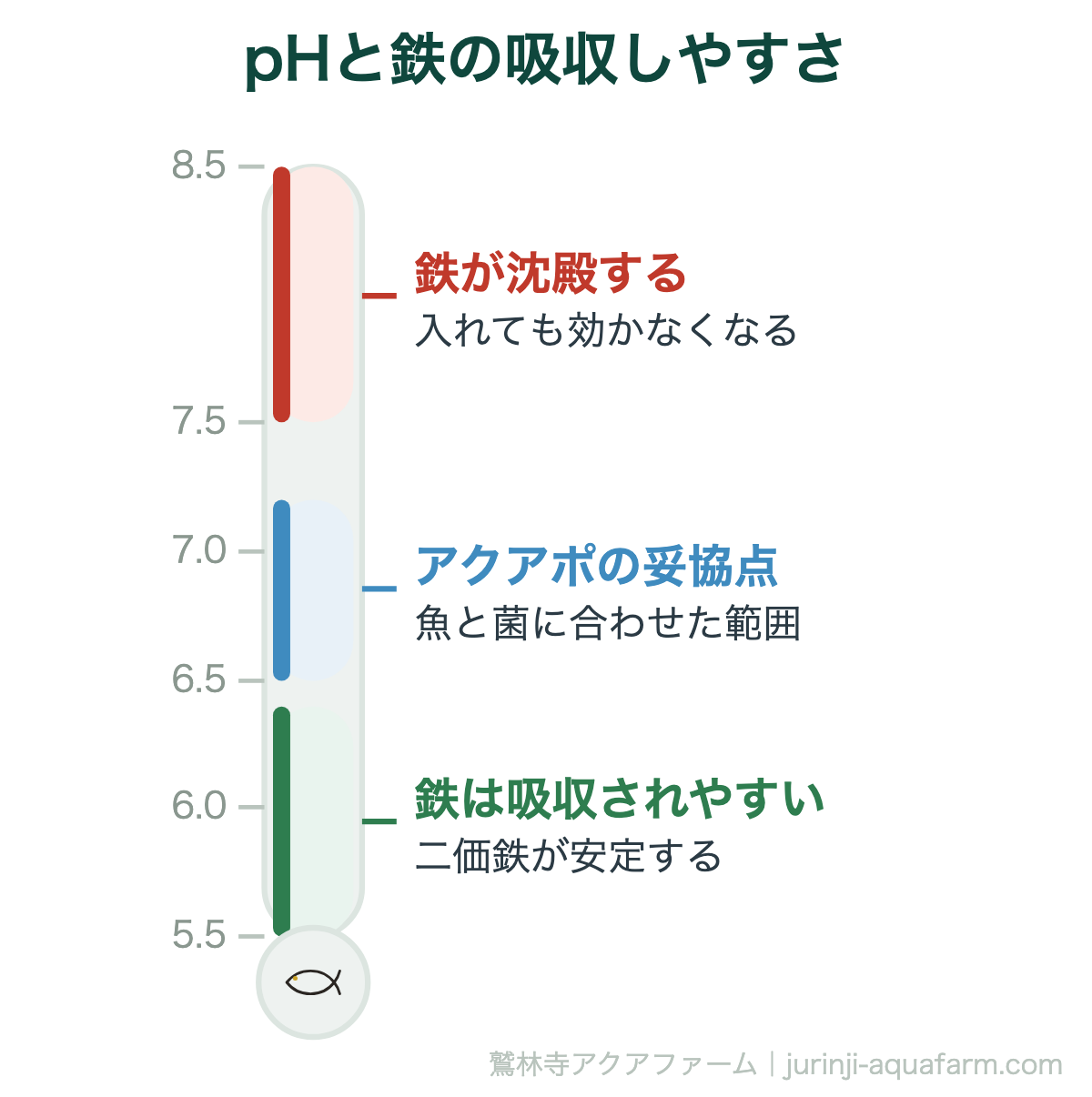 pHと鉄の吸収しやすさ。アクアポニックスで葉が黄色い原因は鉄不足