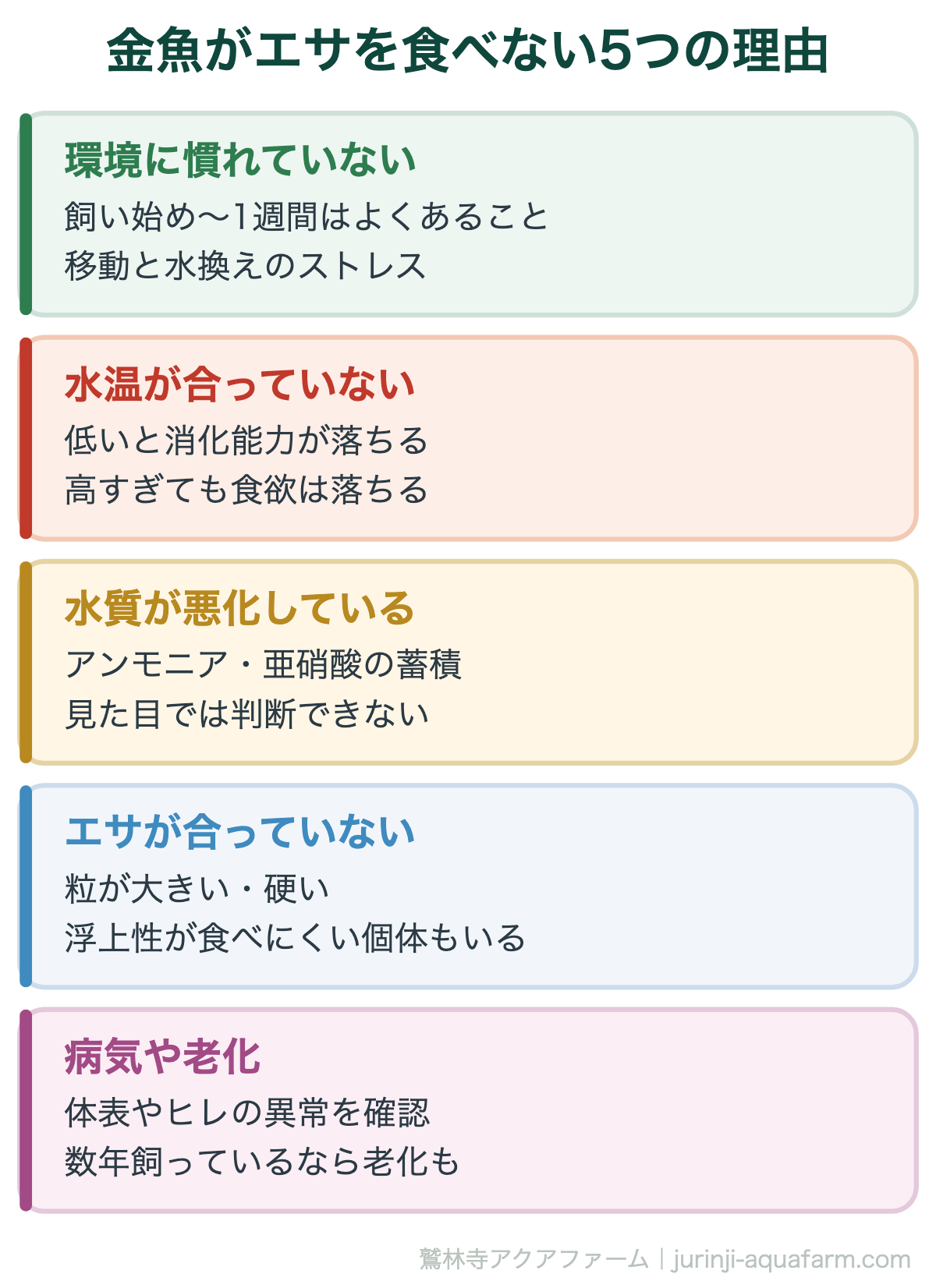金魚 が 餌 を 食べ ない