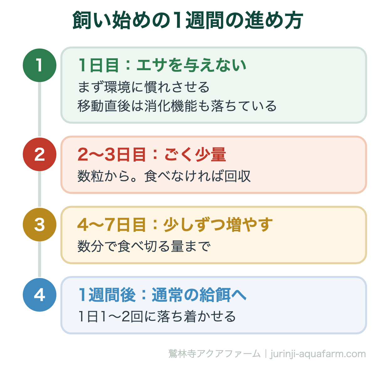 金魚がエサを食べない・吐き出す原因と対処法｜飼い始めの1週間の進め方。飼い始めに食べないのは異常ではありません。焦って与えると食べ残しが水を汚し、かえって体調を崩させます
