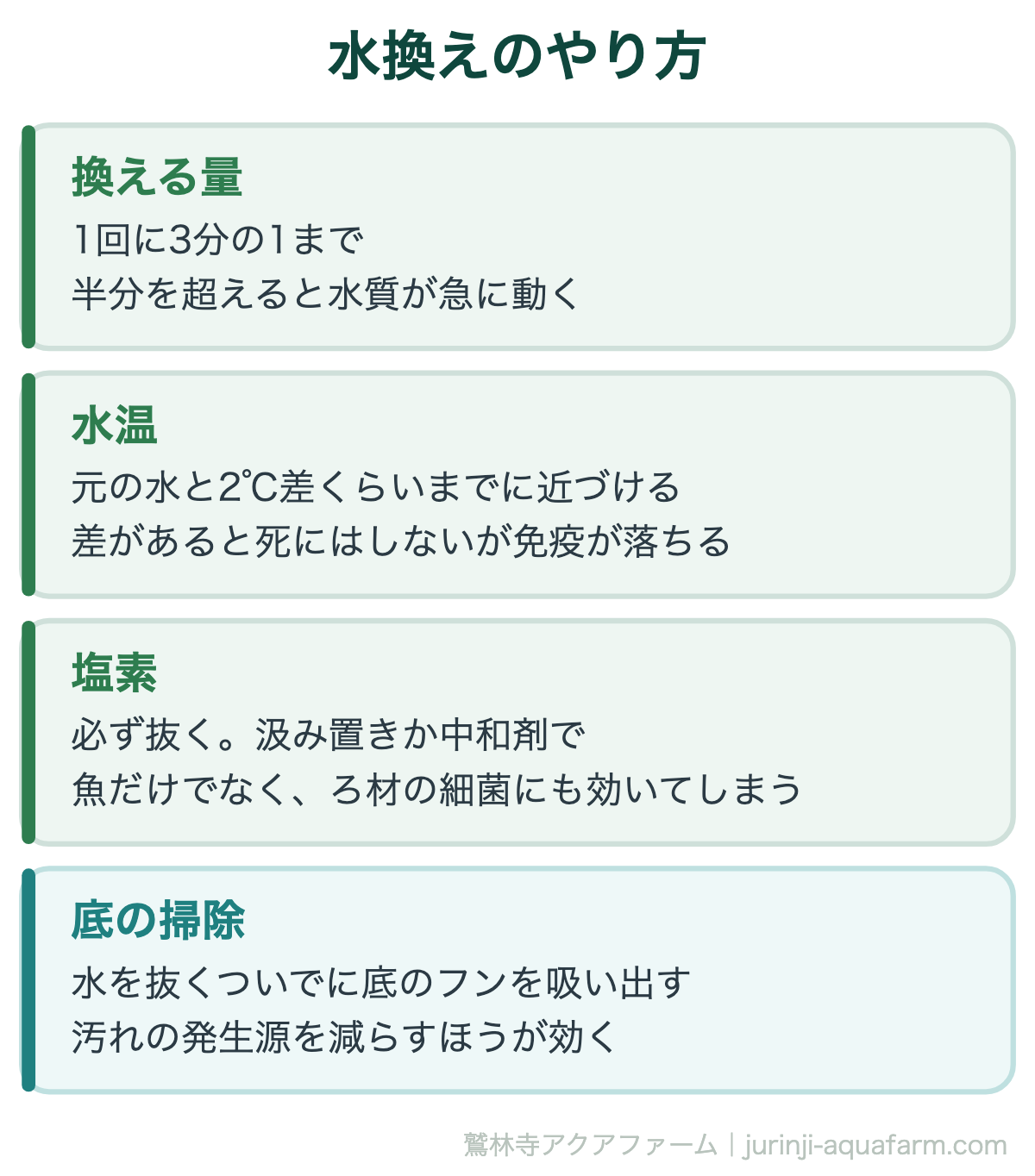 金魚の水換えをしないとどうなる｜水換えのやり方。ろ材は同時に洗わない。洗うなら別の日に、飼育水で軽くすすぐ程度