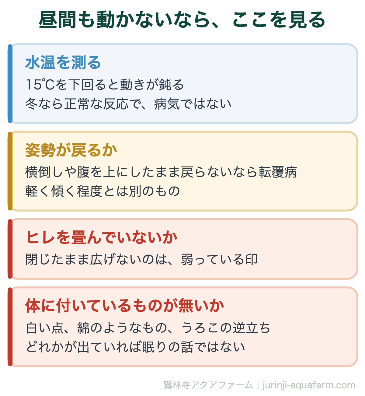 昼間も動かないなら、ここを見る。金魚は寝る