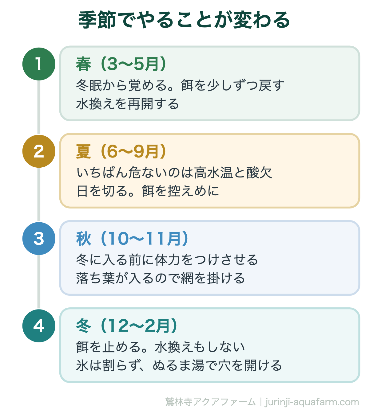 金魚の屋外飼育で季節ごとにやること。春は餌を戻す、夏は日よけ、秋は落ち葉、冬は餌を止める