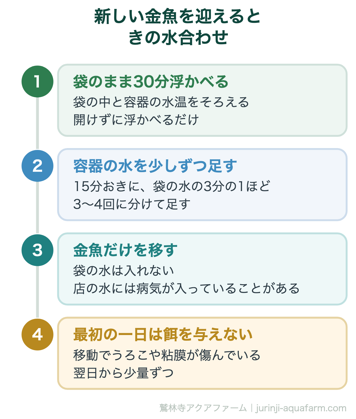 新しい金魚を迎えるときの水合わせ。金魚すくいの金魚がすぐ死ぬのは、多くがここを飛ばしたため