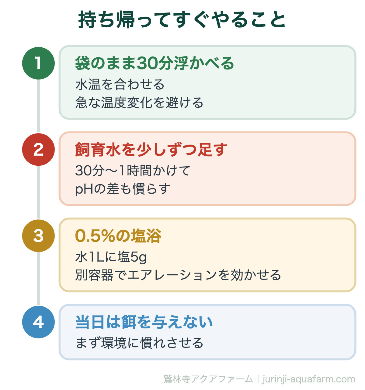 金魚すくいの金魚がすぐ死ぬ理由｜持ち帰ってすぐやること。持ち帰った直後の数時間が最も重要です。ここで焦って餌を与えたり本水槽に直接入れたりすると、翌朝には★になっていることがあります