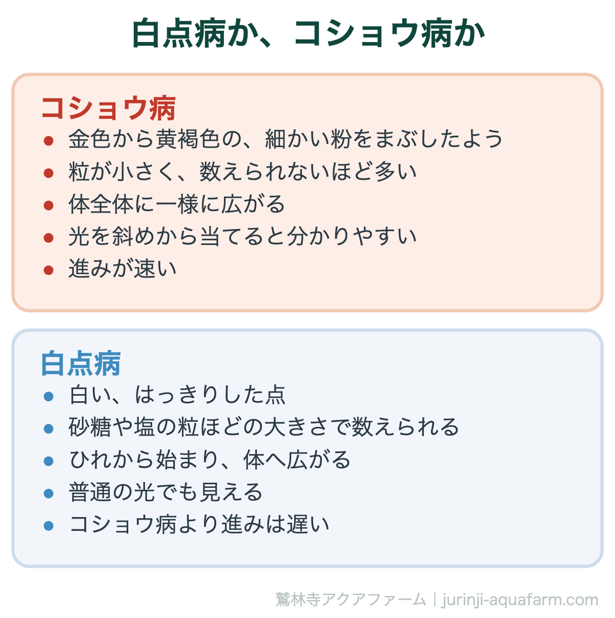 メダカのコショウ病は白点病より多い｜白点病か、コショウ病か。メダカでは白点病よりコショウ病のほうが多い。粒が細かいなら、まずこちらを疑う