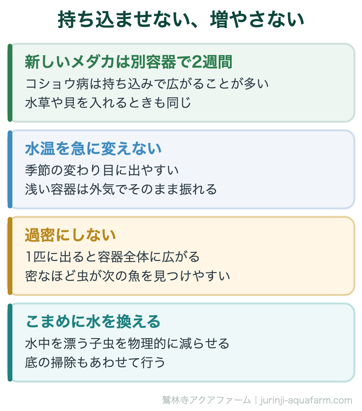 メダカのコショウ病は白点病より多い｜持ち込ませない、増やさない。うつる病気なので、入れないことと、増やさないことの両方が要る