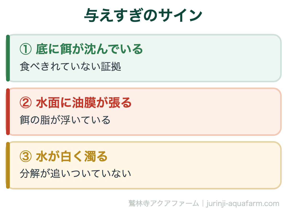 メダカの餌やり｜与えすぎのサイン。魚を見るより水を見るほうが確実です。ひとつでも出たら、次の1回を抜いてください