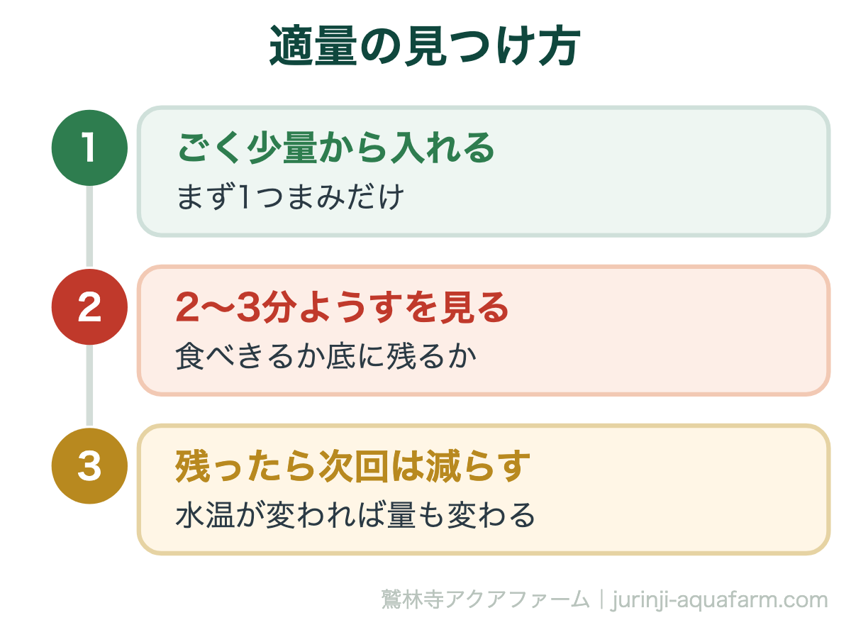 メダカの餌やり｜適量の見つけ方。適量は固定ではありません。水温が下がれば食べる量も減るので、そのつど確かめるのが確実です