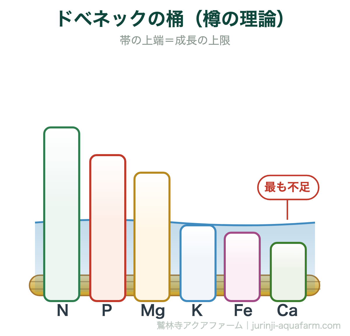 ドベネックの桶（樽の理論）。リービッヒの最小律とは