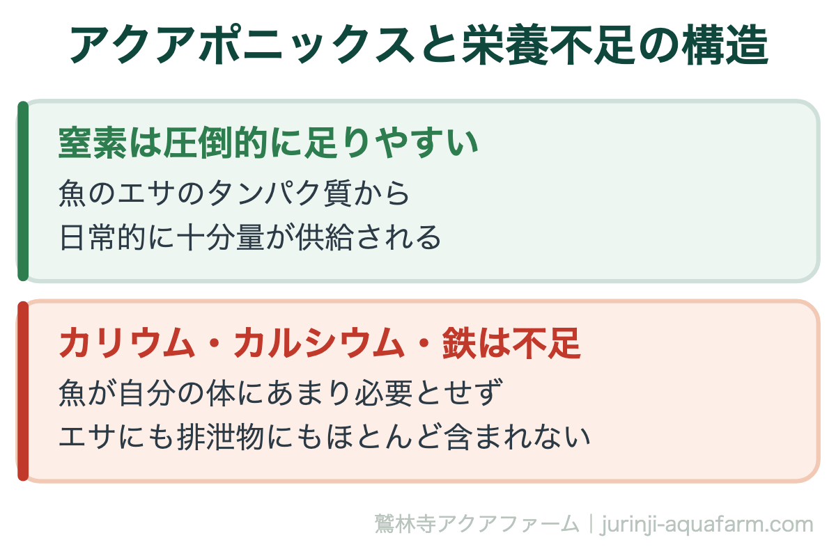 アクアポニックスと栄養不足の構造。リービッヒの最小律とは