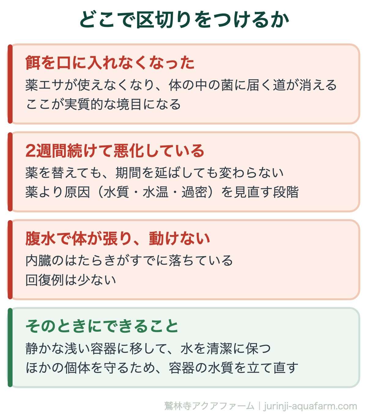 メダカの松かさ病は治る｜どこで区切りをつけるか。松かさは「治らないこともある」病気。認めたほうが、残りの群れを守れる