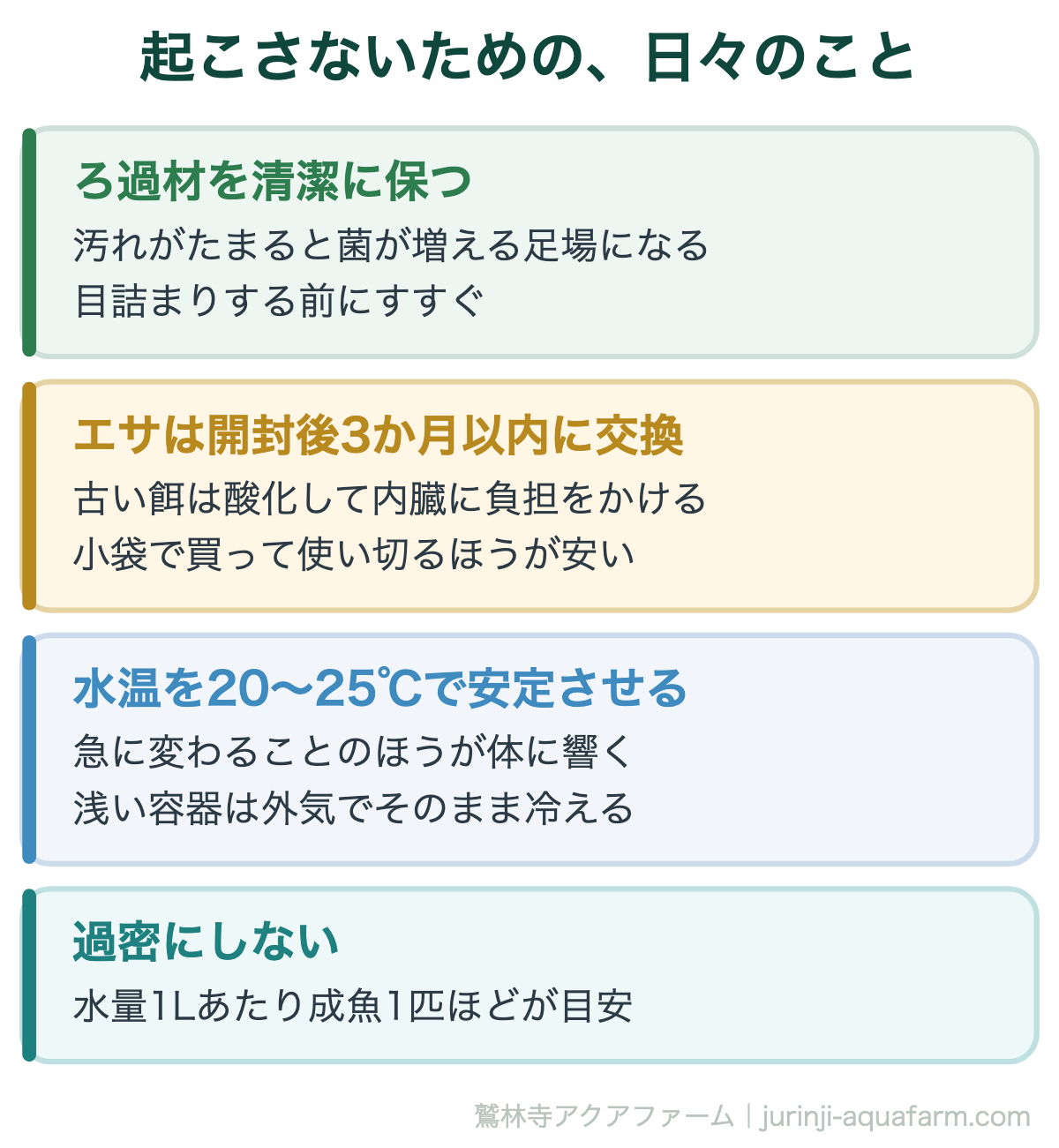 メダカの松かさ病は治る｜起こさないための、日々のこと。松かさは「環境が悪化したときに出る」病気。菌をもらう病気ではない