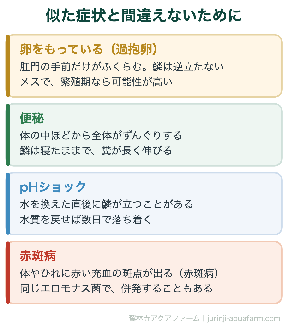 メダカの松かさ病は治る｜似た症状と間違えないために。鱗が「逆立っている」のか「体が張っているだけ」なのかを、上から見て確かめる