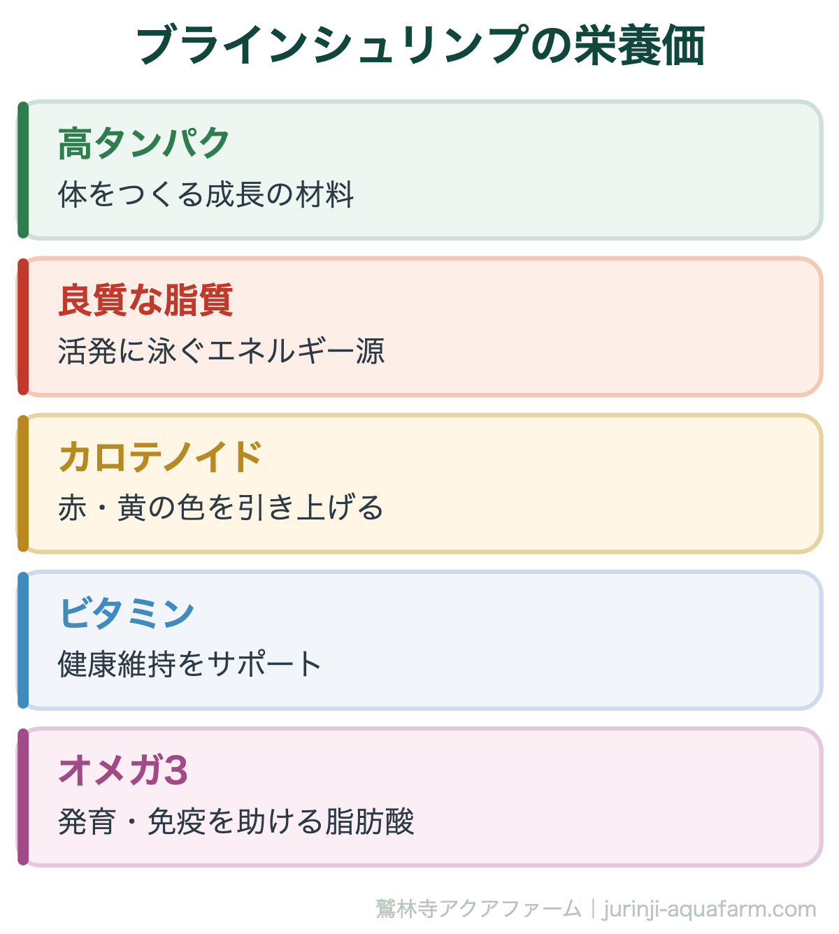 メダカにブラインシュリンプは必要｜ブラインシュリンプの栄養価。ブラインシュリンプは高タンパクで栄養バランスに優れた「生きたサプリ」。稚魚の成長を大きく後押しします