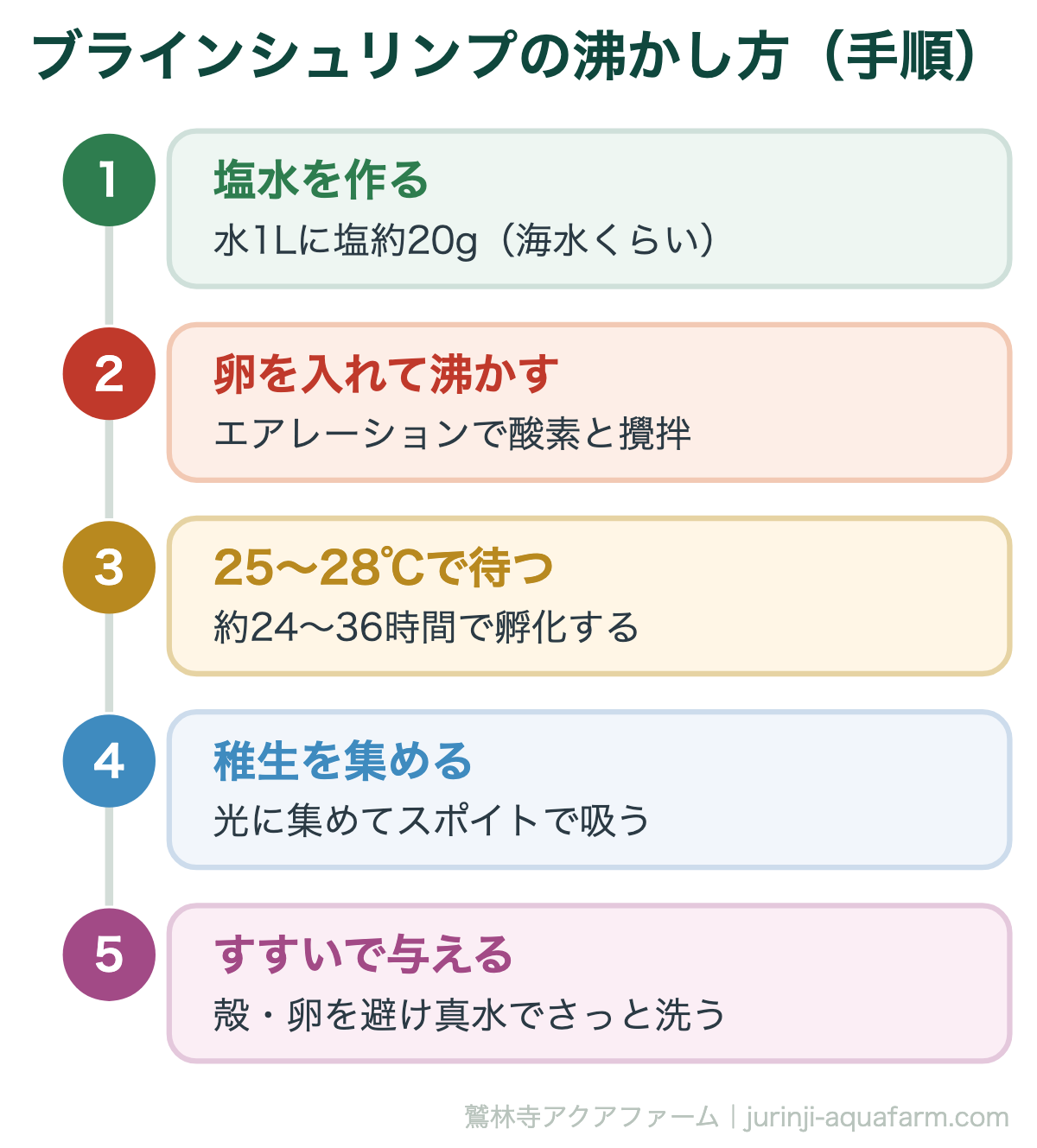 メダカにブラインシュリンプは必要｜ブラインシュリンプの沸かし方（手順）。孵化器は2台体制が便利。1日交代で沸かせば、いつでも新鮮なブラインを切らさず与えられます