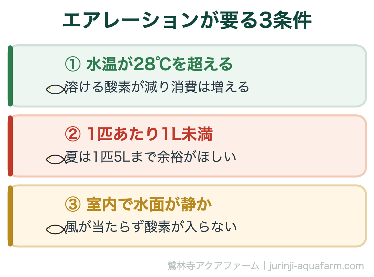 メダカにエアレーションはいらない｜エアレーションが要る3条件。2つ以上当てはまるなら、エアレーションを検討する場面です。逆に1つも当てはまらない屋外のビオトープなら、なくても困りません