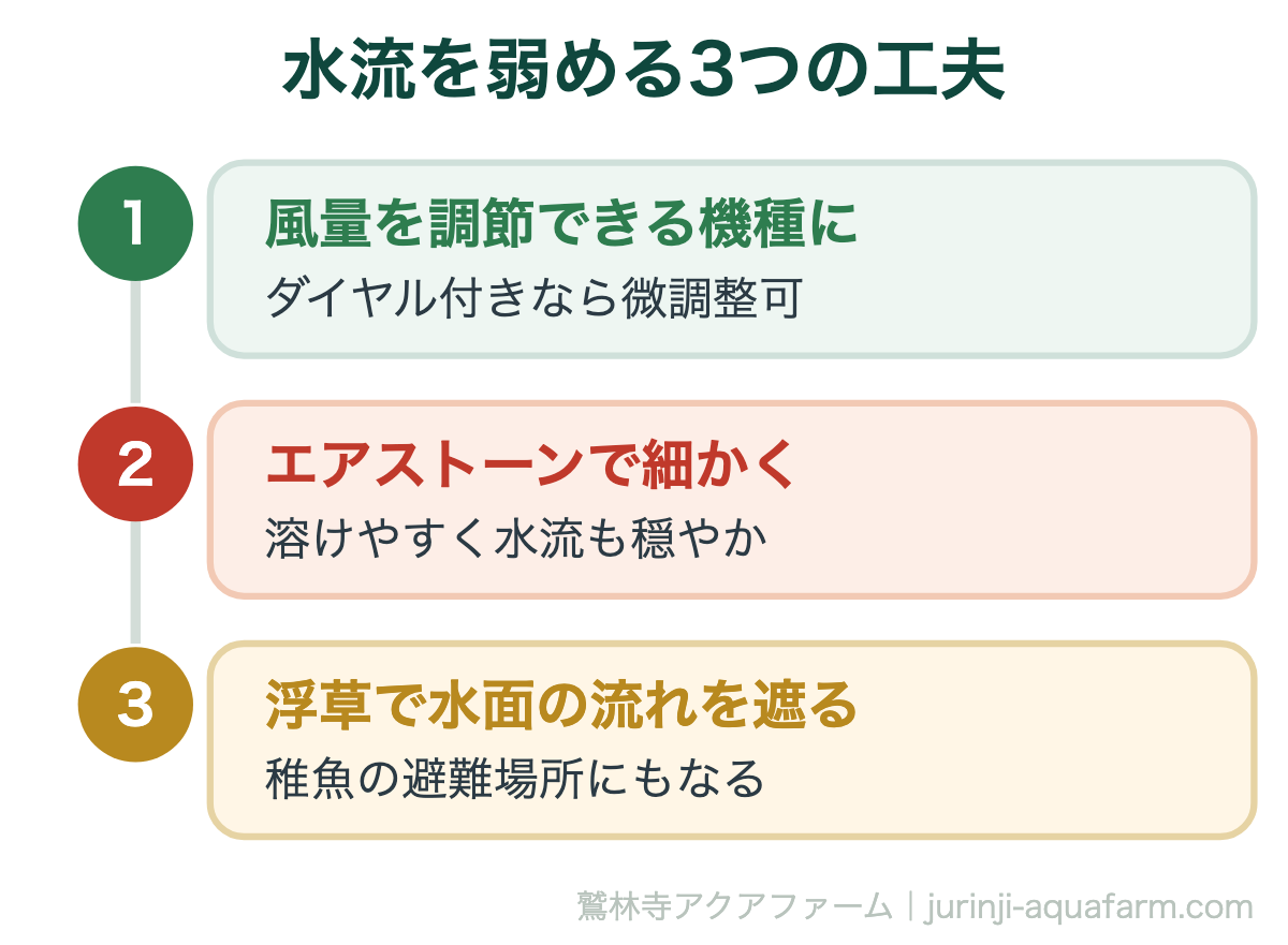 メダカにエアレーションはいらない｜水流を弱める3つの工夫。メダカは流れの弱い場所に住む魚です。入れるかどうかより、どう弱めるかのほうが大事になります