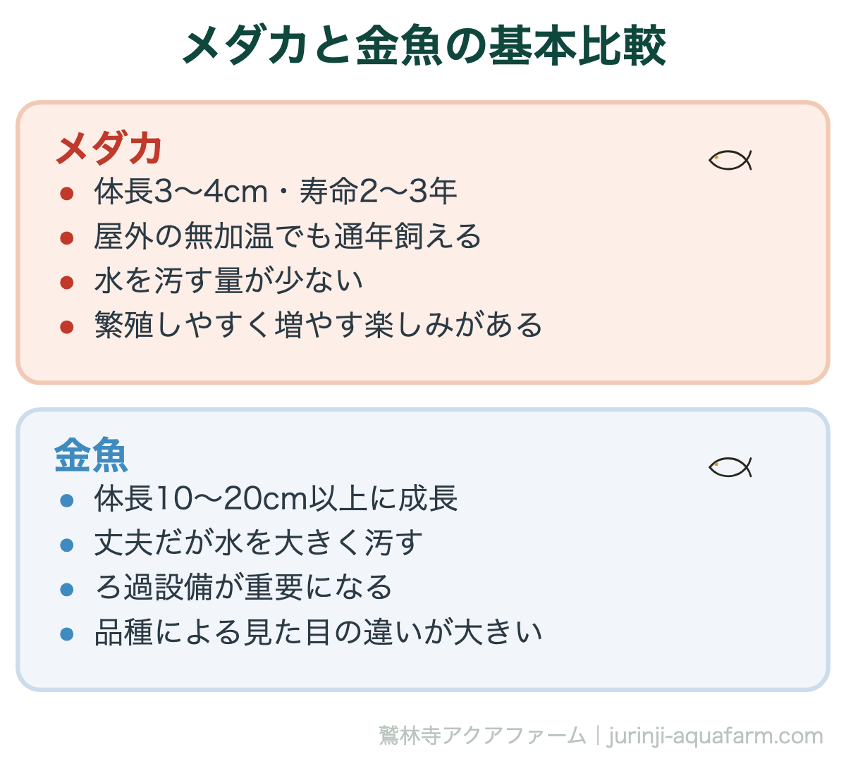 メダカと金魚の基本比較。体の大きさがそのまま「水をどれだけ汚すか」に直結します。この差が、必要な設備の違いを生みます