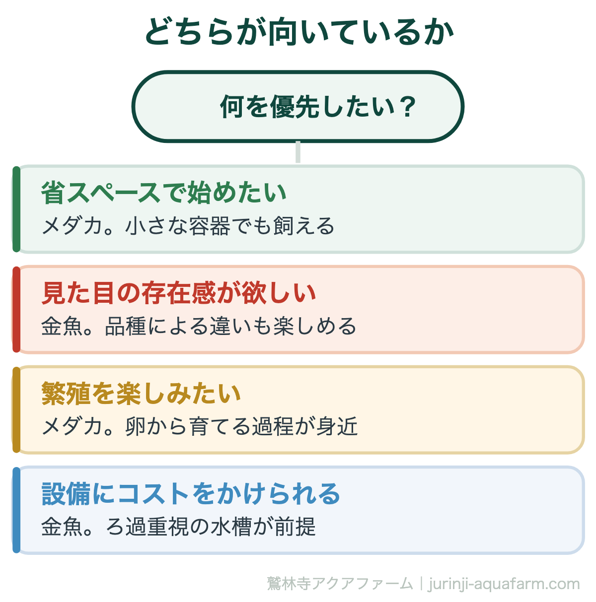 メダカと金魚どっちが飼いやすい｜どちらが向いているか。どちらも初心者向けですが、優先したいものが違えば選び方も変わります