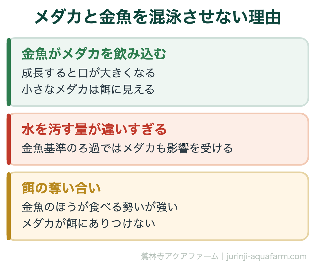メダカと金魚を混泳させない理由。どちらも丈夫な魚ですが、体格差がそのままリスクになります。同じ「日本の淡水魚」でも一緒には飼えません