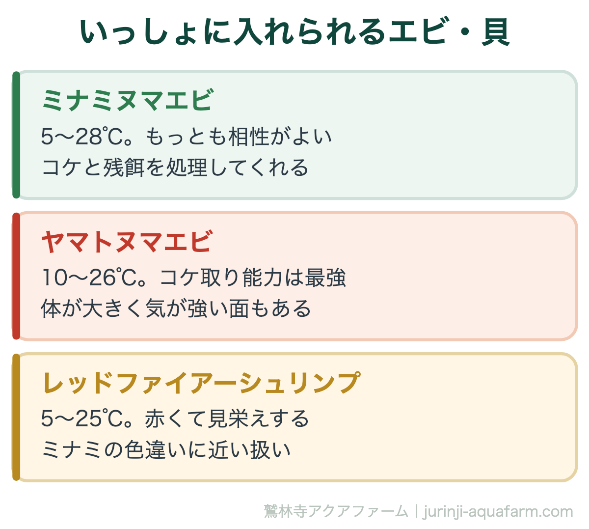 メダカと混泳できる魚・エビ7種｜いっしょに入れられるエビ・貝。掃除役としてはエビが優秀です。ただしメダカの卵や針子は食べられることがあるため、繁殖させたい容器では分けます