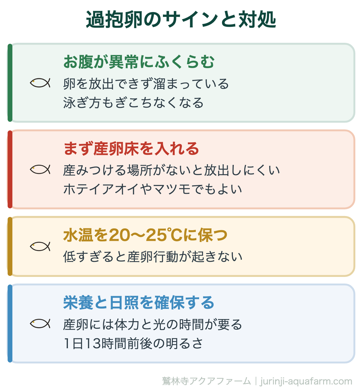 メダカの過抱卵のサインと対処。お腹が不自然に膨れ泳ぎ方がぎこちなくなる。原因の多くは産みつける場所がないことで、まず産卵床を入れる。次に水温20〜25℃、そして体力
