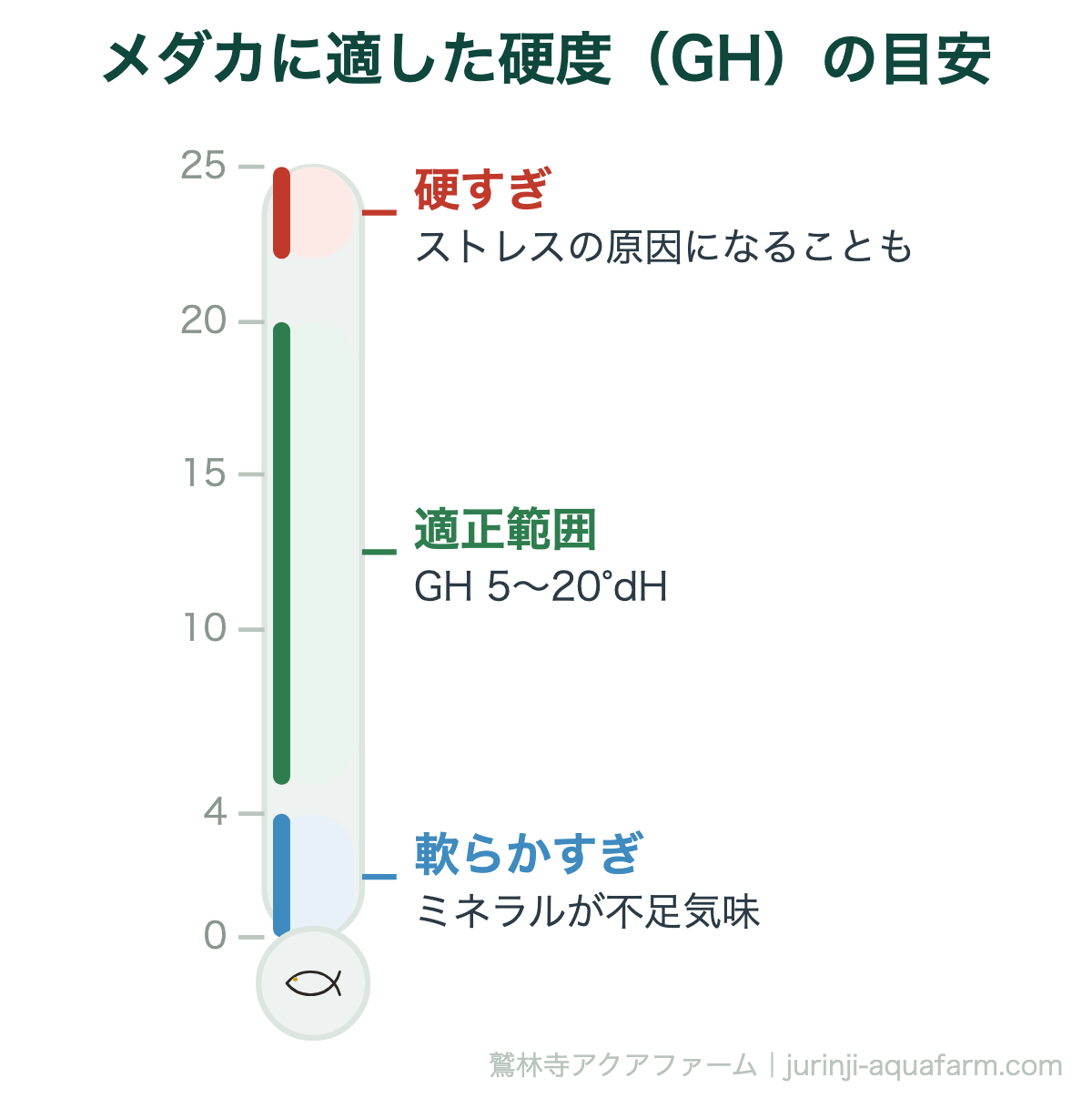メダカに適した硬度（GH）の目安。日本の水道水はこの範囲に収まることがほとんどです。まず現状を疑う前に、実際の数値を確認するのが確実です