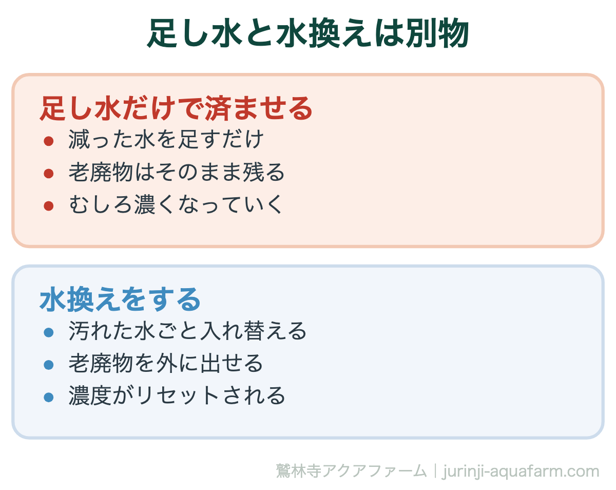 メダカの水換えがめんどくさい｜足し水と水換えは別物。蒸発で出ていくのは水だけです。足し水を続けても汚れは減らず、水位が戻るぶん気づきにくくなります
