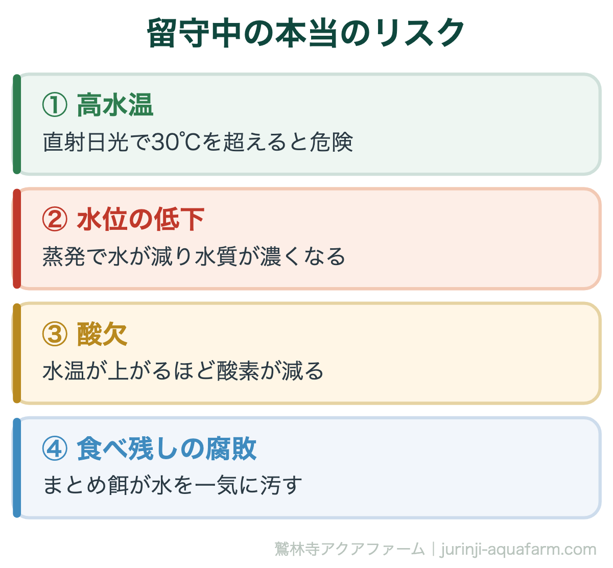 メダカはエサなしで何日もつ｜留守中の本当のリスク。留守中にメダカが死ぬ原因は、空腹よりもこの4つであることがほとんどです