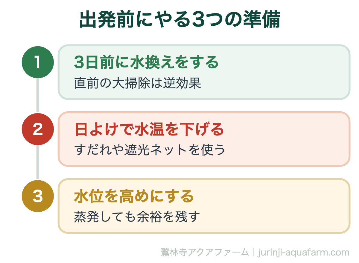 メダカはエサなしで何日もつ｜出発前にやる3つの準備。どれも出発前日までに終わる作業です。エサの心配より、この3つのほうが効きます