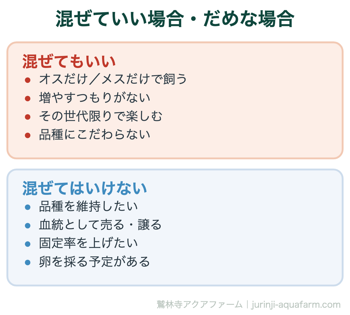 混ぜていい場合・だめな場合。違う種類のメダカは混ぜてもOK