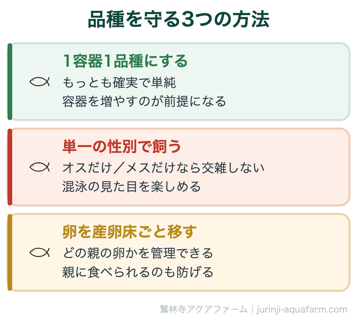 品種を守る3つの方法。違う種類のメダカは混ぜてもOK