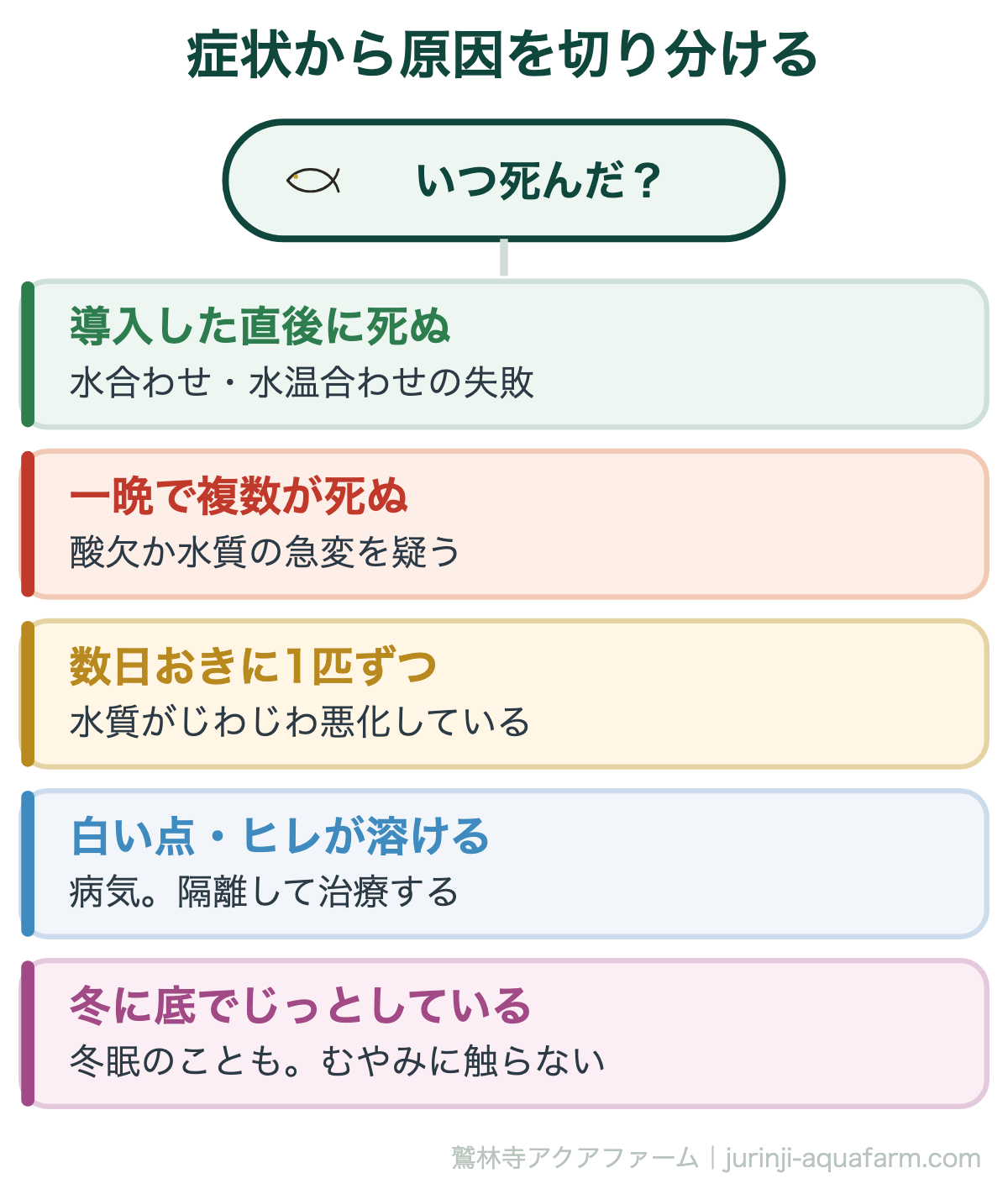 症状から原因を切り分ける。メダカが次々死ぬ原因と対策