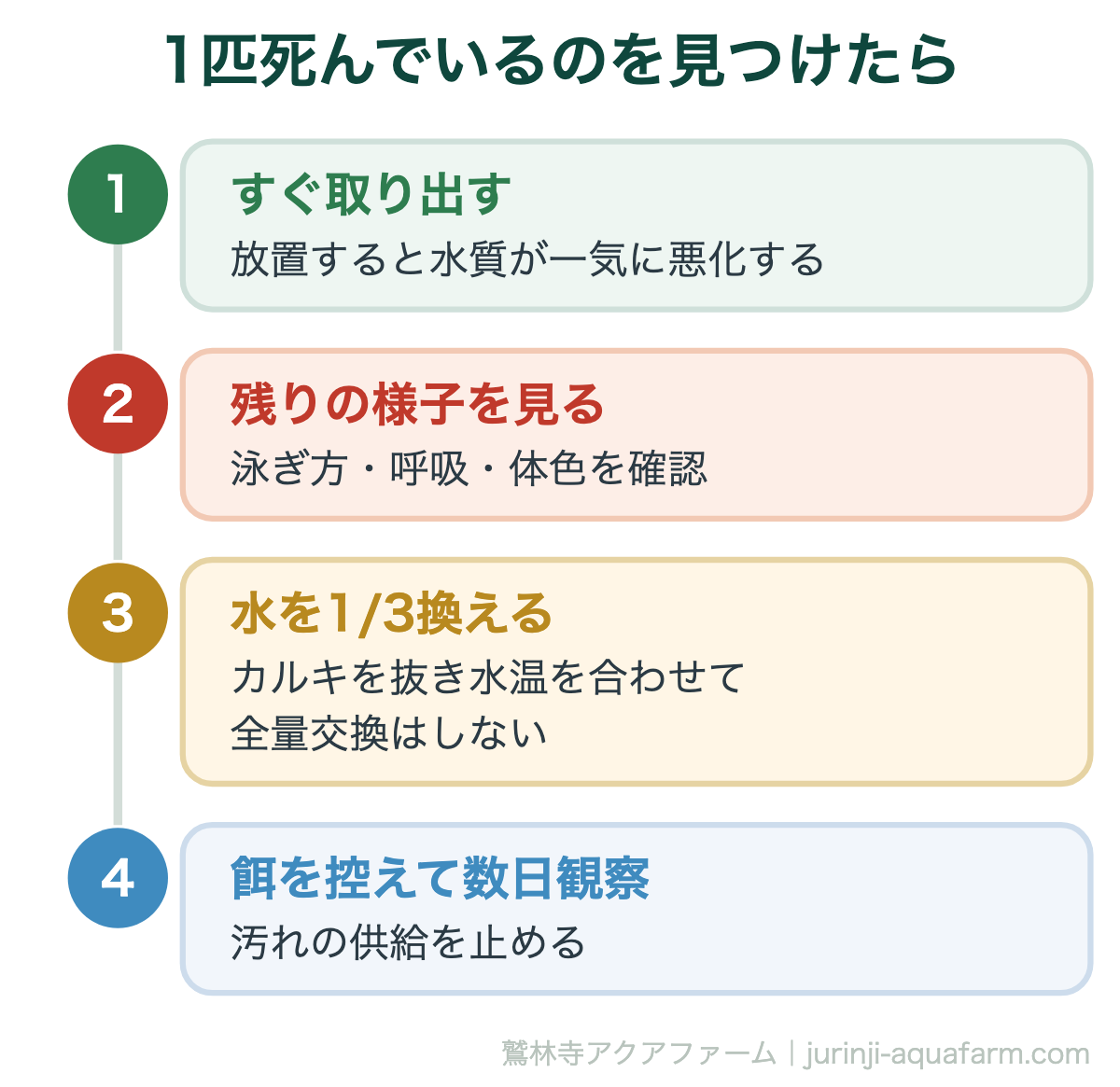1匹死んでいるのを見つけたら。メダカが次々死ぬ原因と対策