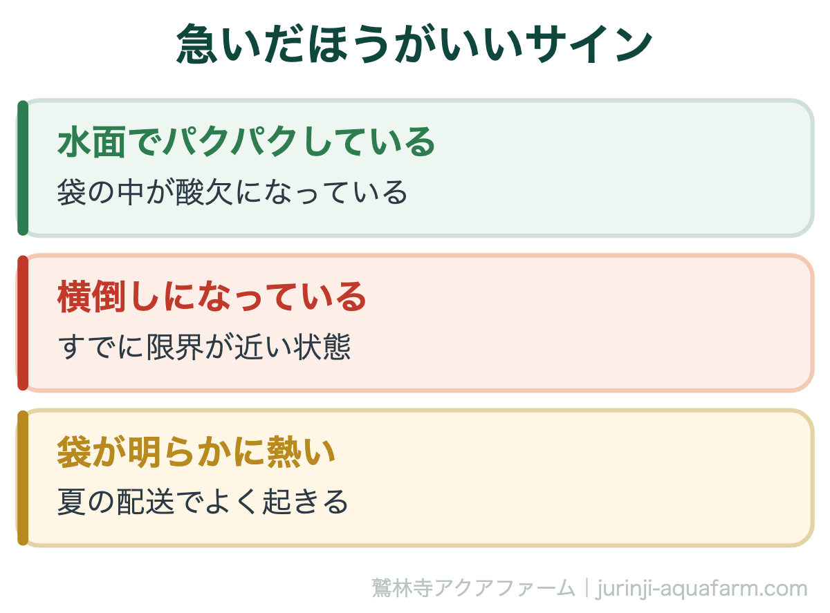 メダカの水合わせと立ち上げ｜急いだほうがいいサイン。このサインが出ているときは、時間をかけること自体がリスクになります。原則より優先してください