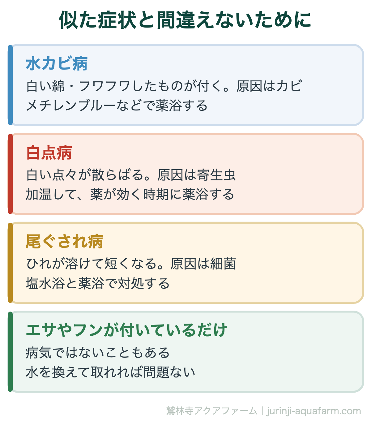メダカの水カビ病と似た症状の見分け方。白い点々が散らばるのは白点病、水カビは傷口から一か所に綿状に生える