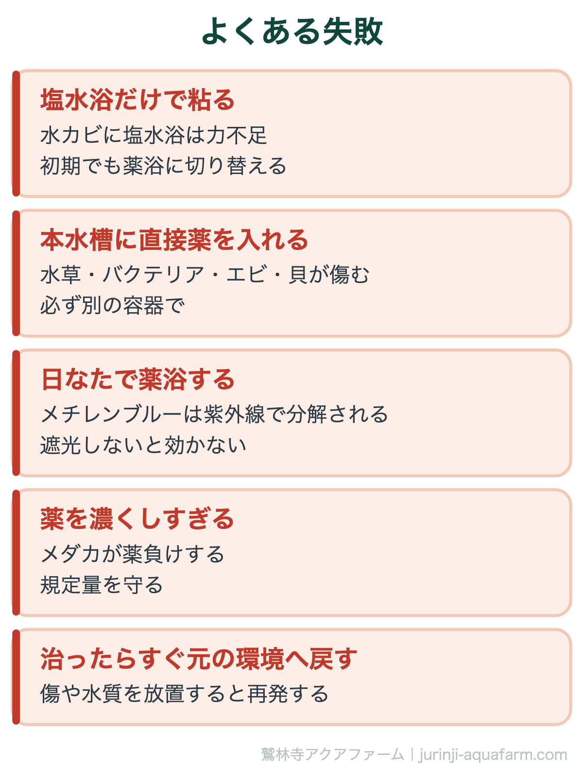 メダカの水カビ病でよくある失敗。日なたに置いて薬が分解する、本水槽に薬を入れる、規定量を守らない、途中でやめる