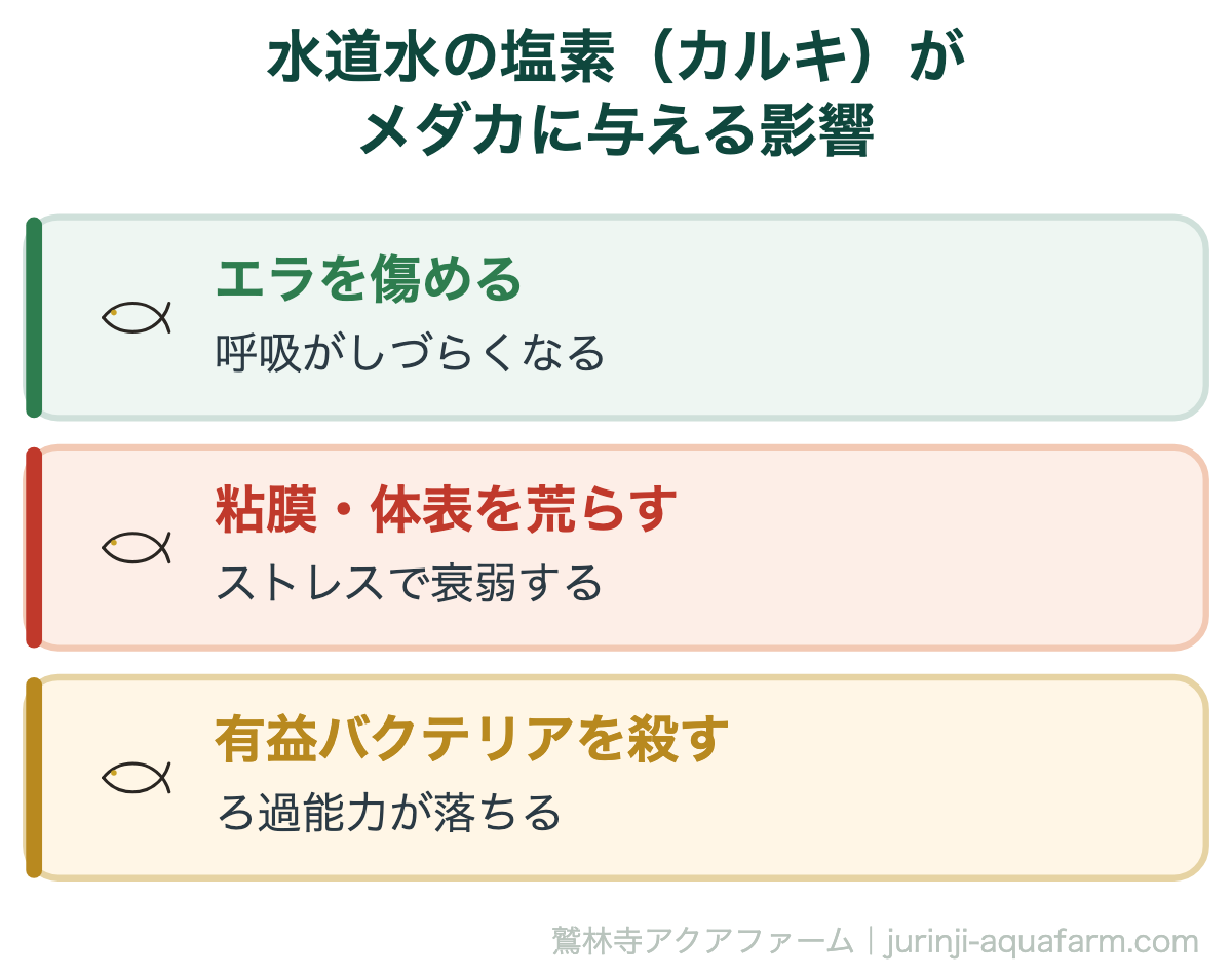 水道水の塩素（カルキ）がメダカに与える影響。塩素は消毒用の薬品。メダカのエラや粘膜、ろ過バクテリアにダメージを与えるため、必ず抜いてから使います