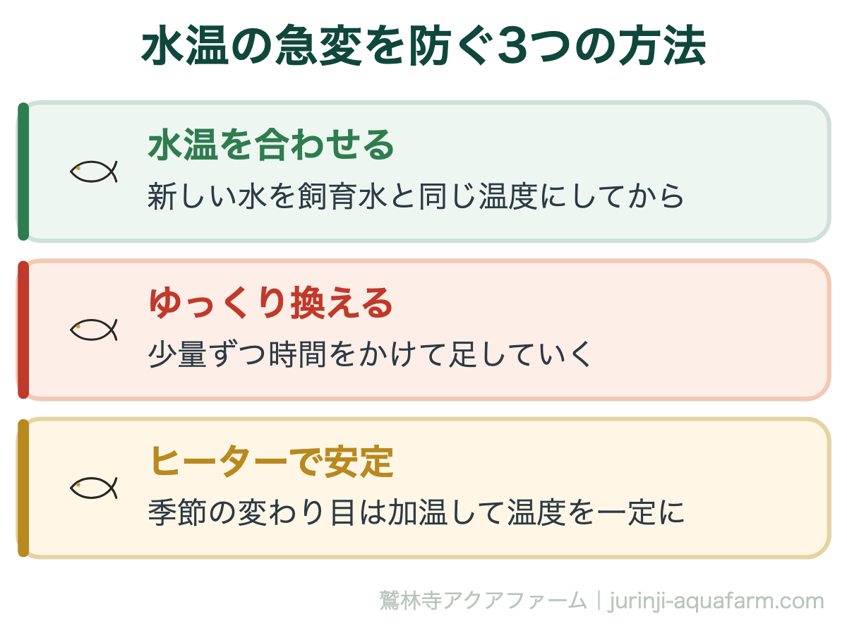 メダカの【水換え後に弱る】5つの理由！正しい対処法＆水換えのコツ｜水温の急変を防ぐ3つの方法。メダカは変温動物。水温がそのまま体温になるため、数℃の急変でも大きなダメージになります