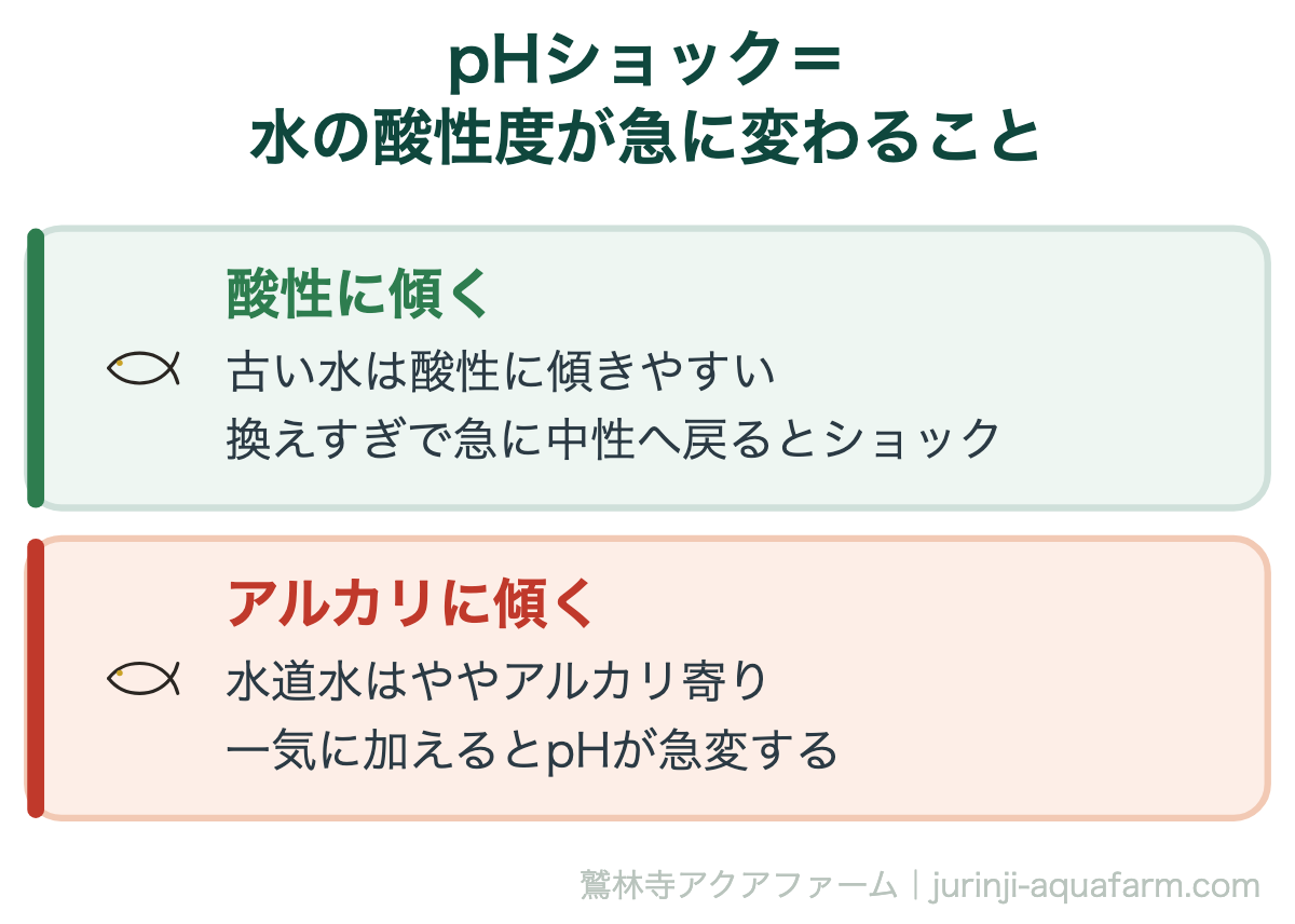 メダカの【水換え後に弱る】5つの理由！正しい対処法＆水換えのコツ｜pHショック＝水の酸性度が急に変わること。古い飼育水と新しい水のpH差が大きいほど危険。少しずつ換えて、pHをゆるやかに近づけます