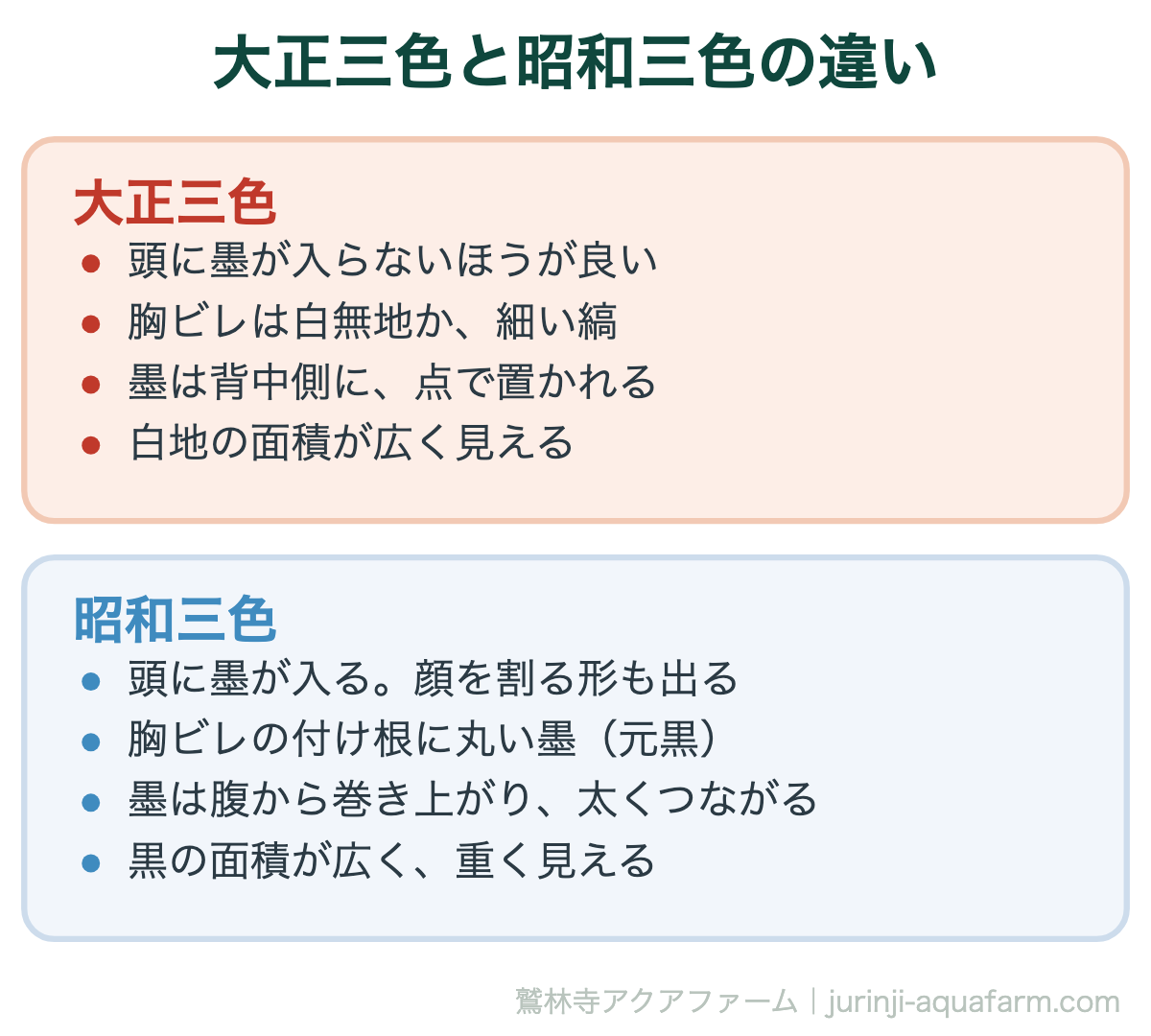 大正三色と昭和三色の違い。錦鯉の高い柄の見分け方
