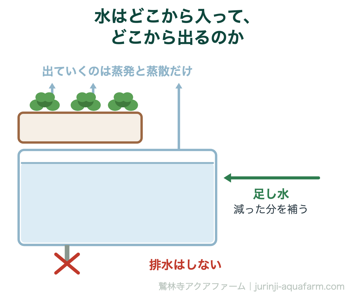 水はどこから入って、どこから出るのか。アクアポニックスは水換え不要