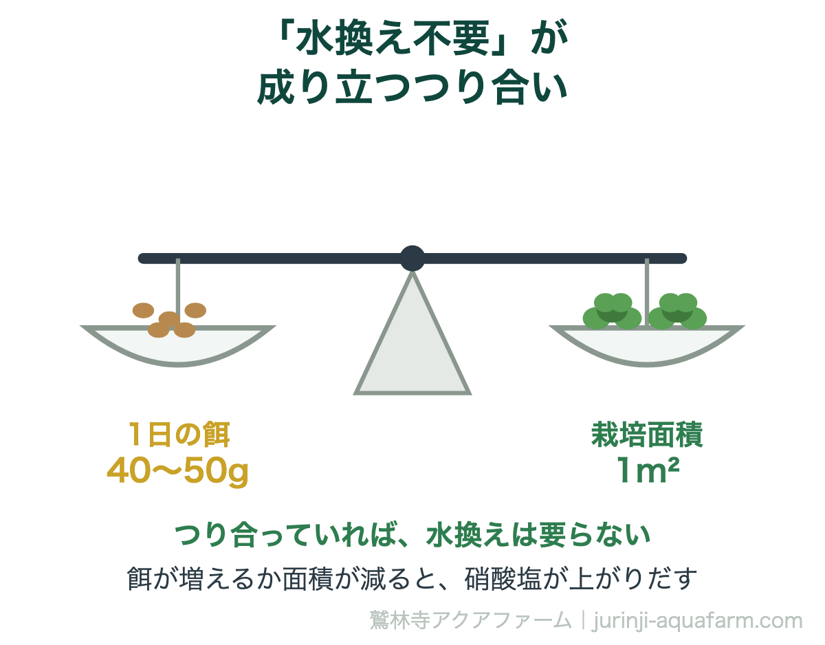 「水換え不要」が成り立つつり合い。アクアポニックスは水換え不要